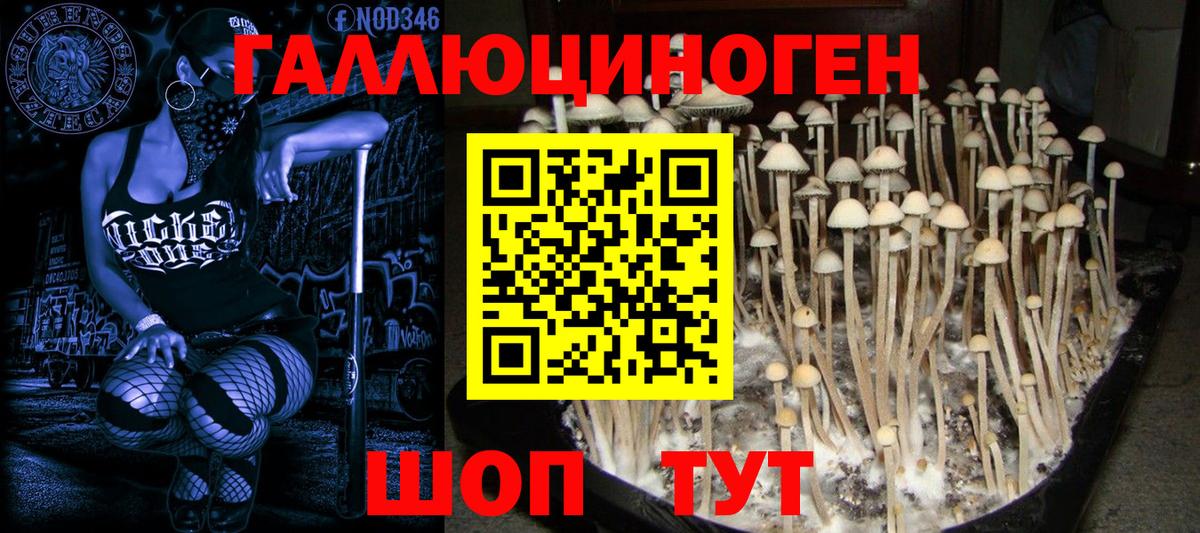 Псилоцибиновые грибы ЛСД Кстово