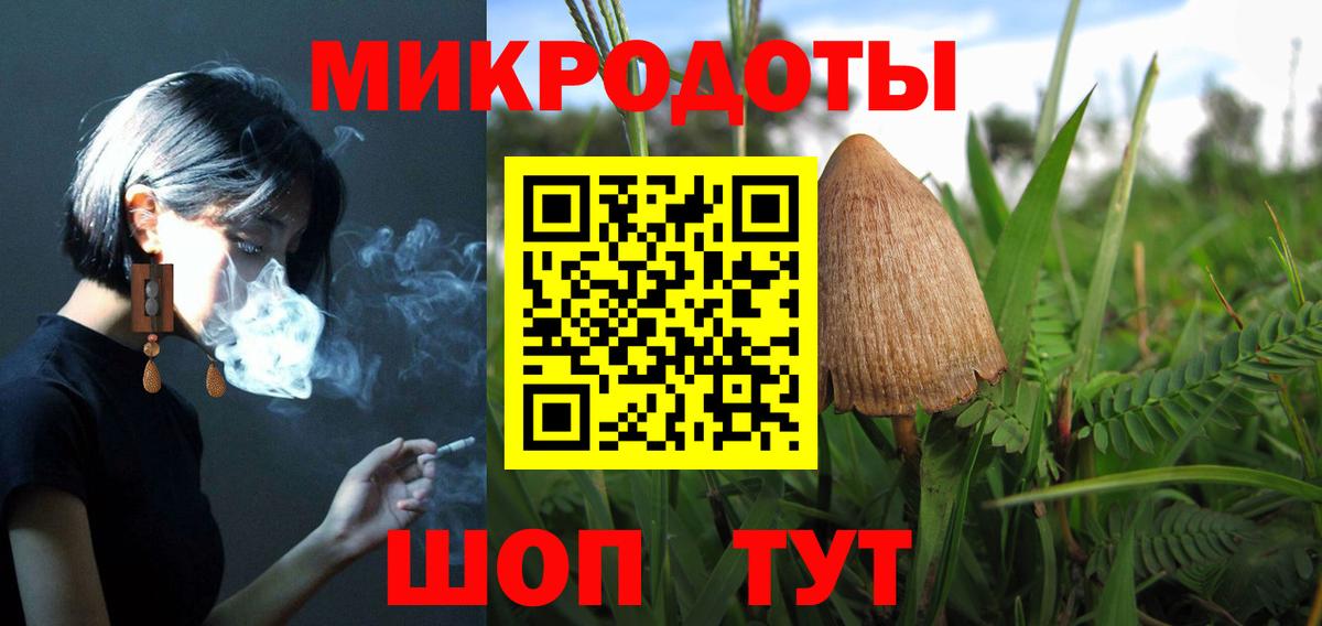 Кстово  Псилоцибиновые грибы Cubensis  Псилоцибиновые грибы мухоморы  Вход с VPN 